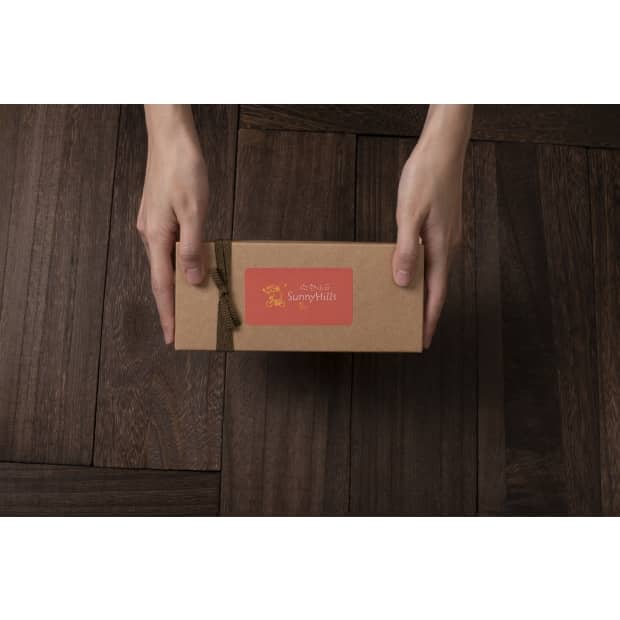 十入鳳梨酥 手拿.jpg