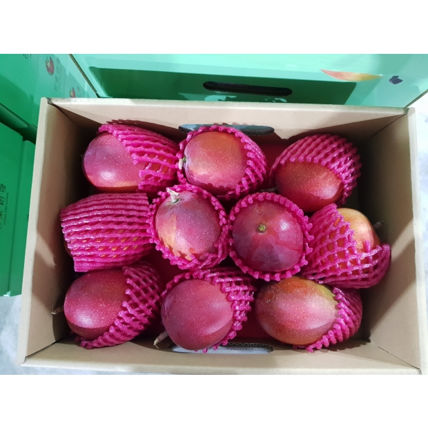 LINE_ALBUM_芒果樹夏2.5KG_9-12顆__260205_9.jpg