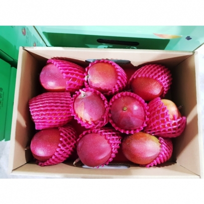 LINE_ALBUM_芒果樹夏2.5KG_9-12顆__260205_3.jpg LINE_ALBUM_芒果樹夏2.5KG_9-12顆__260205_3.jpg